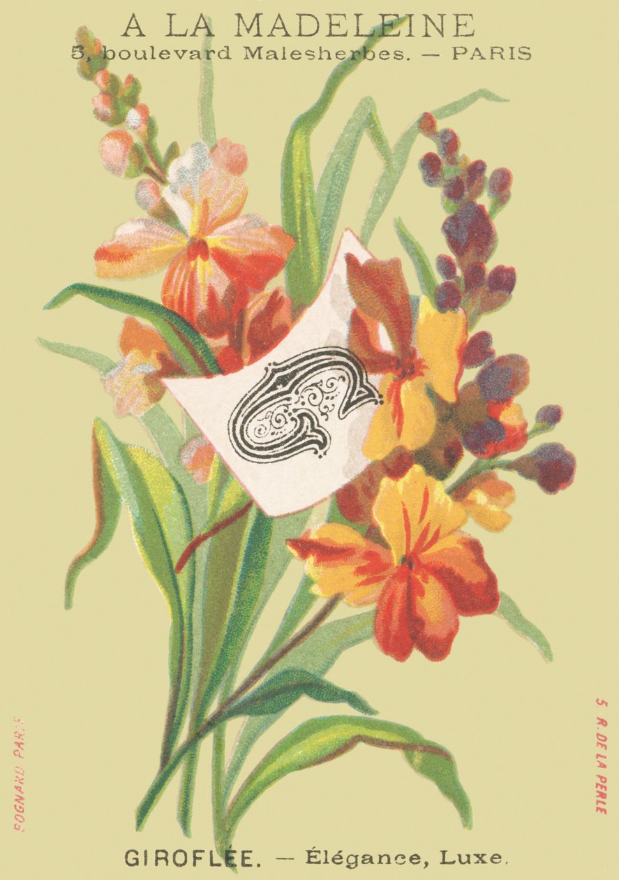 G: Giroflee - Elegância, Luxo de French School