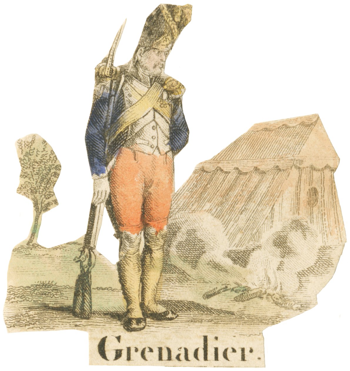 G como granadeiro de French School