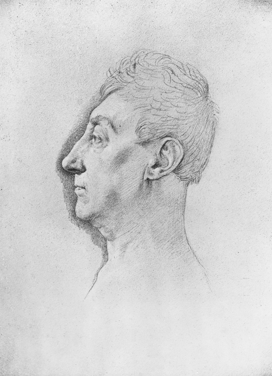 General de Lafayette (litho) de French School