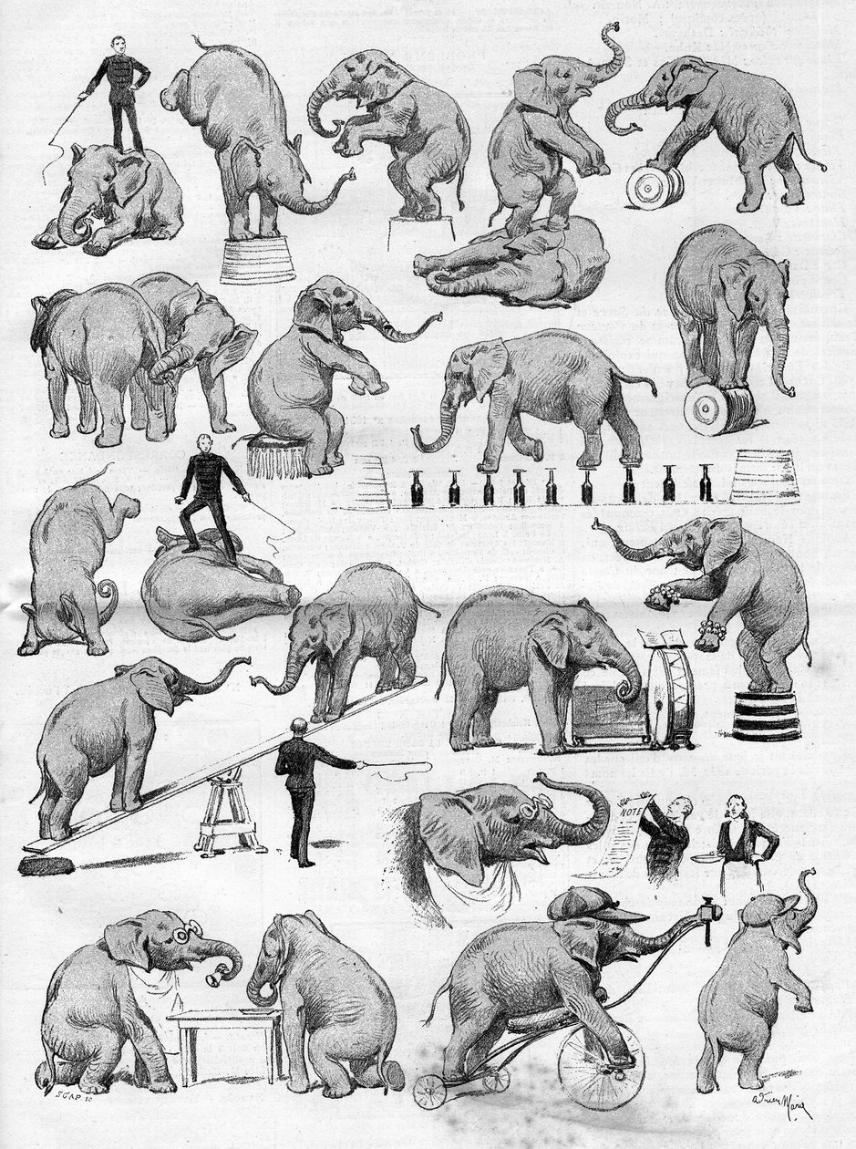 O circo de Geo Lockart famoso pelos seus elefantes estabeleceu-se no Hipódromo de Paris, em "O Mundo Ilustrado". de French School