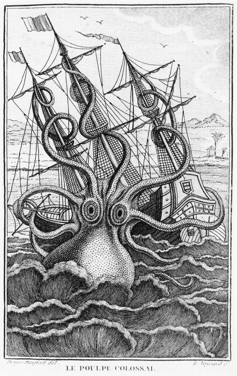 Polvo Gigante, ilustração da História Natural Geral e Especial dos Moluscos de Denys-Montfort, c. 1802-1803 de French School