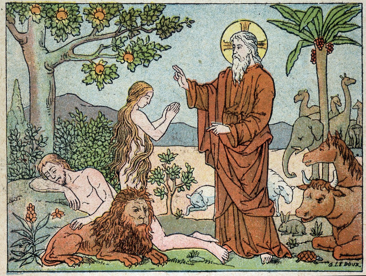 Deus: 6º dia da criação - in "História Sagrada em 120 imagens", ed. Maison de la Bonne Presse, Paris. Maison de la Bonne Presse, Paris de French School