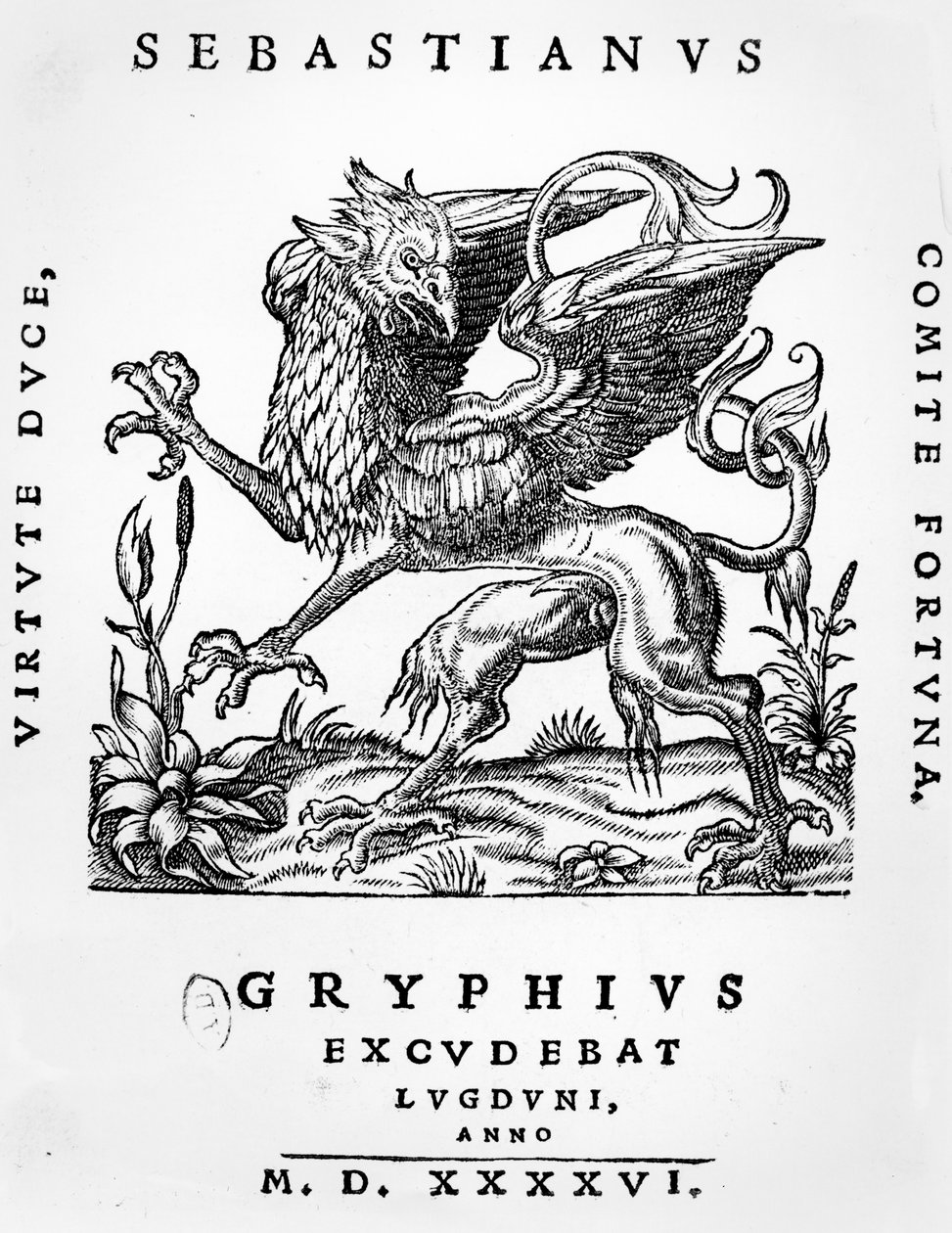 Emblema das impressoras Griffin de Sebastianus Gryphius, Lyon, 1546 de French School