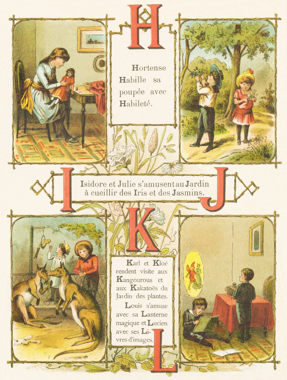 HIJKL: habilidade, jardim, íris, jasmim, cangurus, kakato, lanterna mágica, livros ilustrados de French School
