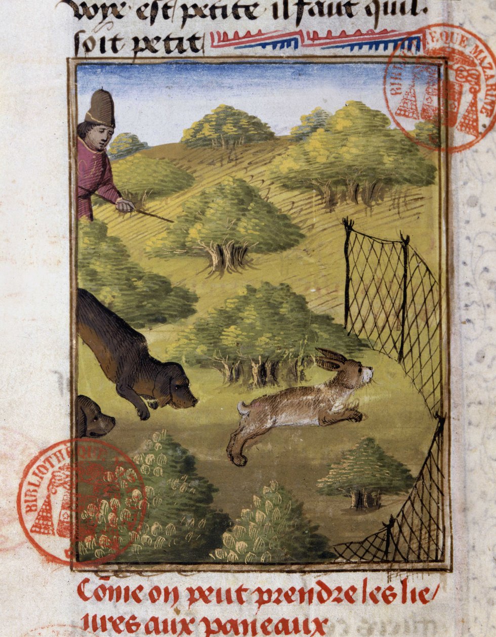 Caça à Lebre - no "Livro de Caça de Gaston Phoebus, Conde de Foix, Senhor de Béarn". de French School