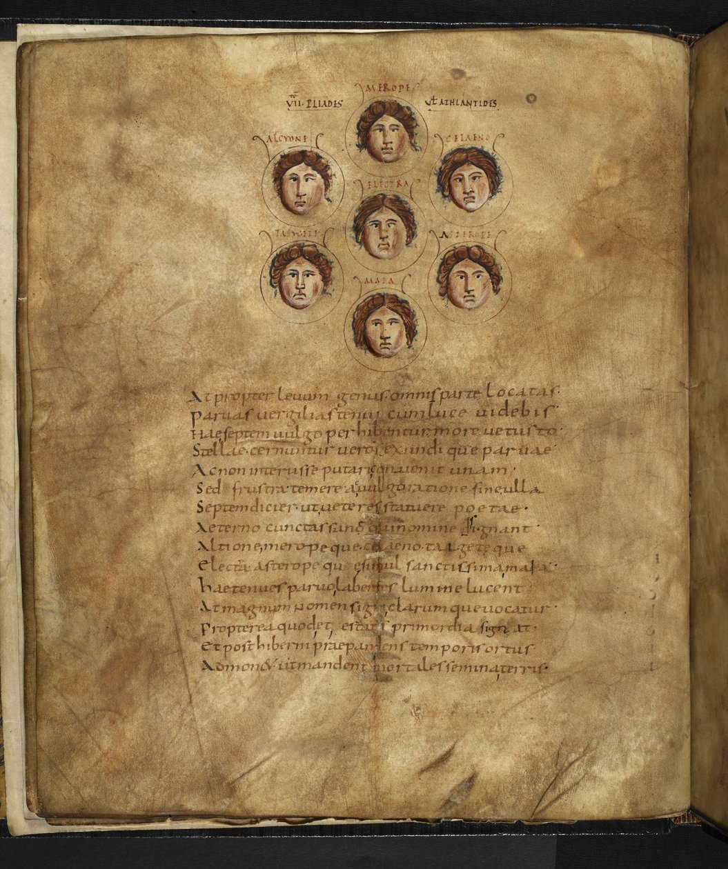 Harley 647, f.4v Ilustração dos rostos dos Pliades, sete irmãs que viveram no céu como estrelas, com os seus nomes inscritos à sua volta, de "Aratus" de Marcus Tullius Cicero (vellum) de French School