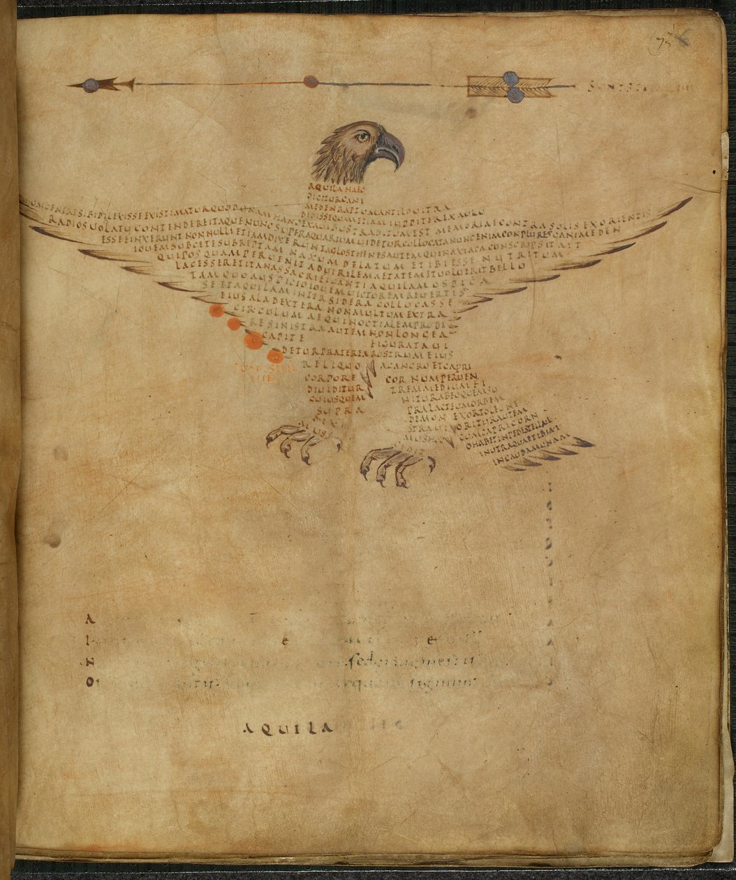 Harley 647, f.7 Ilustração da constelação 