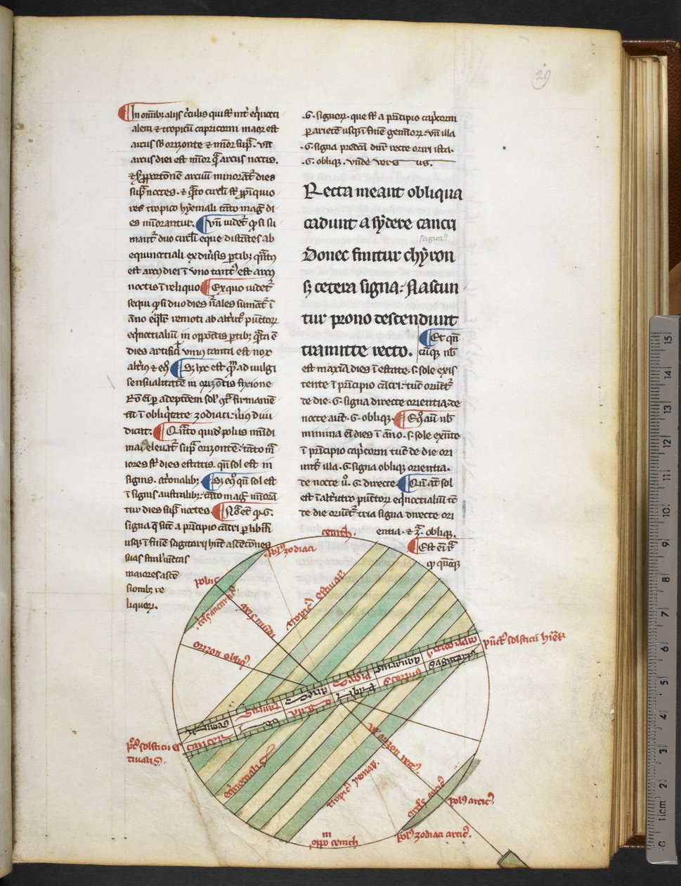 Harley MS 3647 f.29 de 