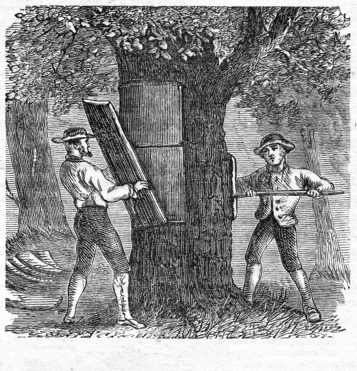 Colheita de cortiça, pub. Gravura de 1885, 1885. de French School