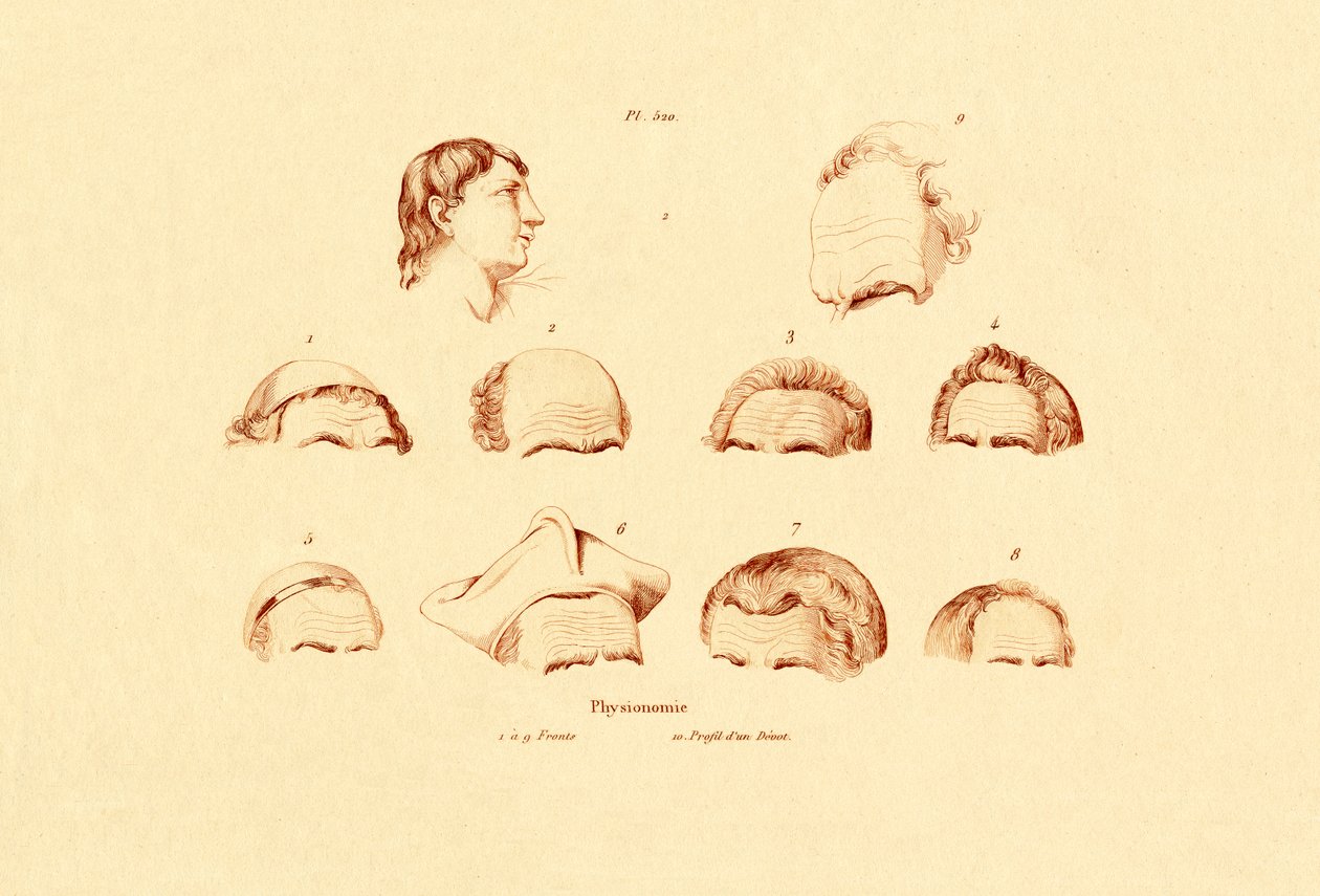 Cabeças, 1833-39 de French School