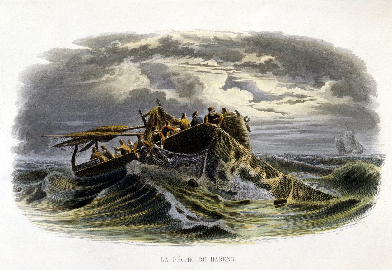 Pesca do arenque - na "História natural de Lacepède de French School