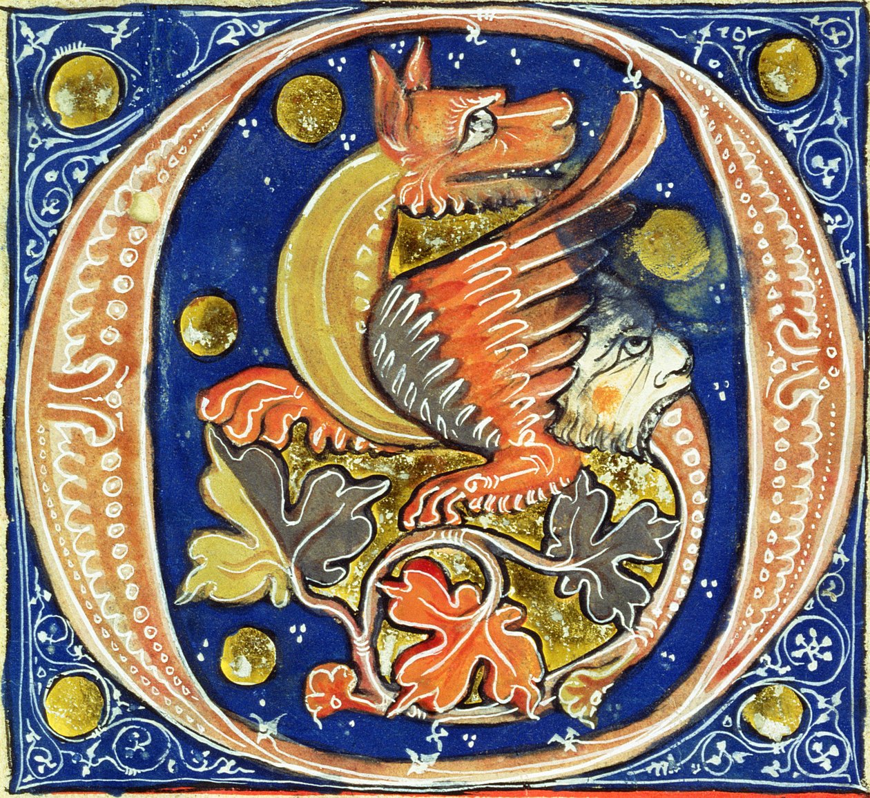 O inicial de Historiated que descreve um griffin voado de French School
