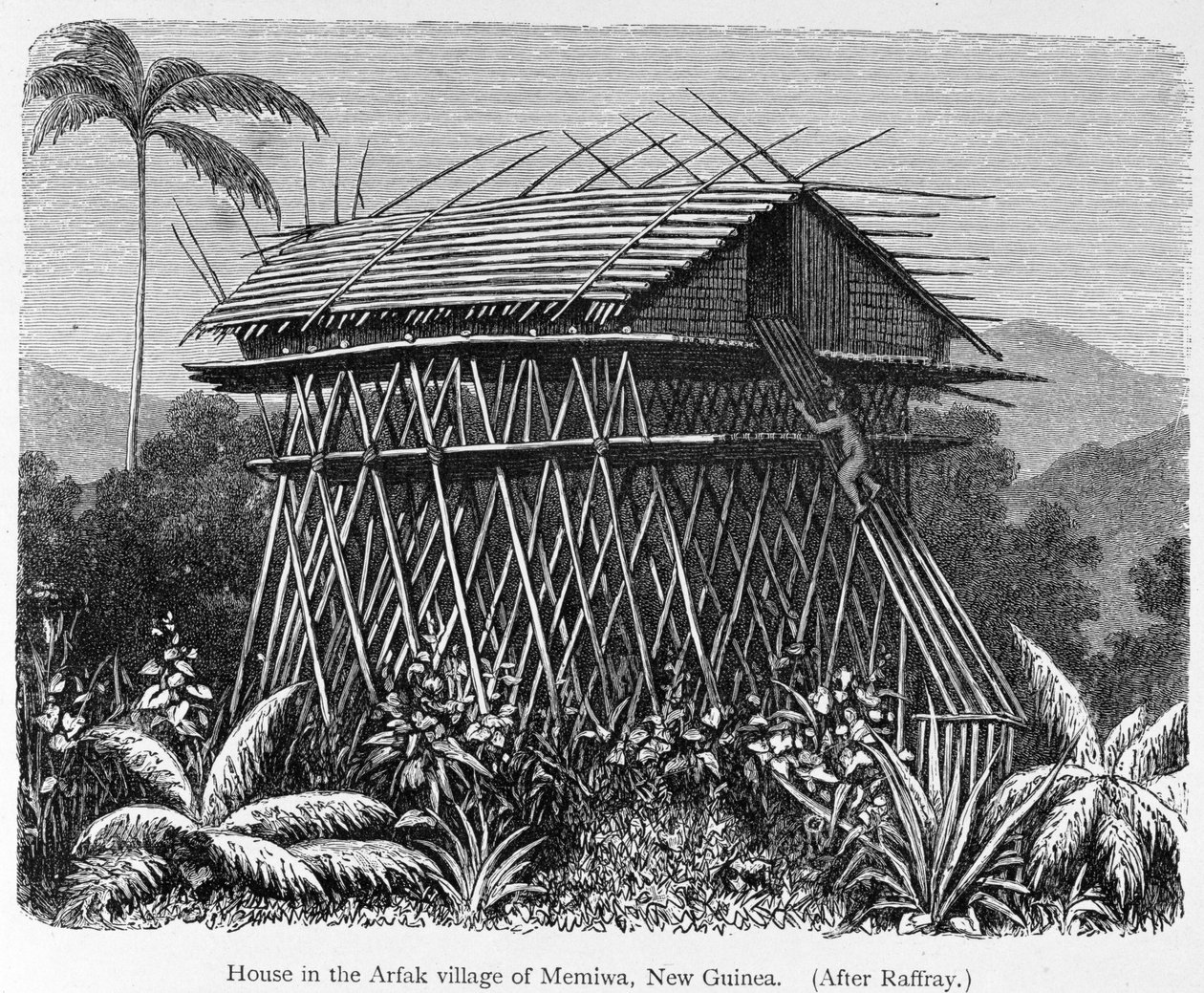 Casa na aldeia Arfak de Memiwa, Nova Guiné, de "A História da Humanidade", Vol. 1, do Prof. Friedrich Ratzel, 1896 de French School
