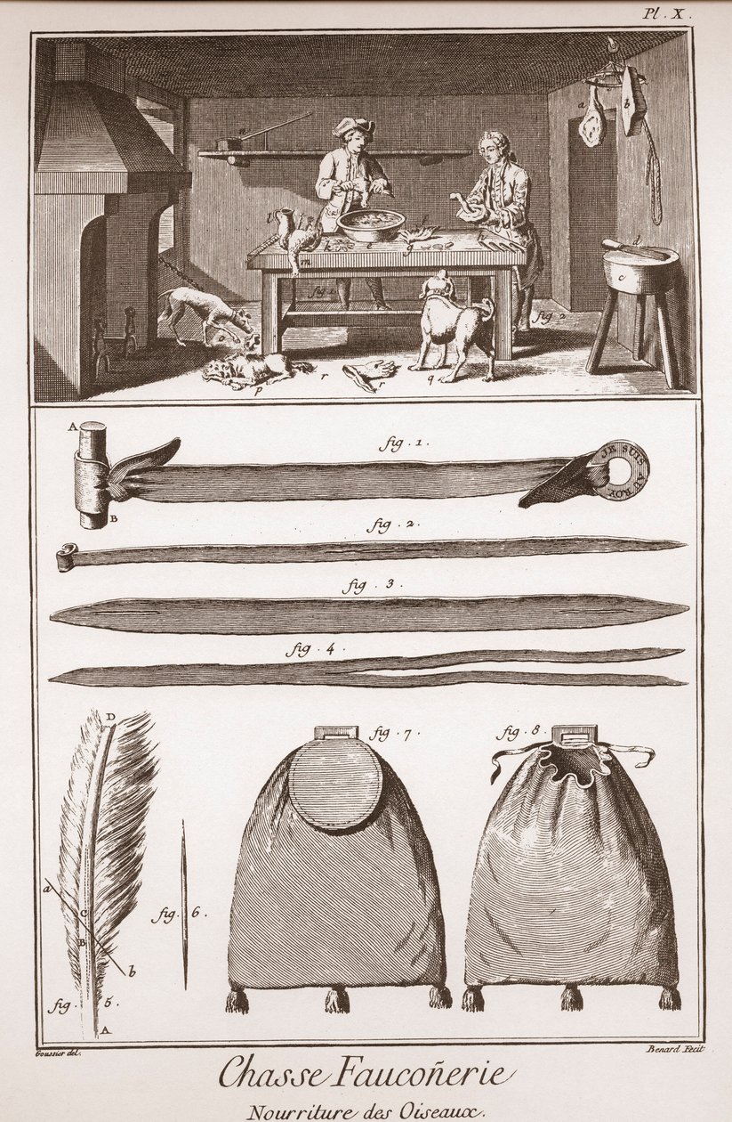 Caça - Falcoaria - Alimentação das aves - Gravura de Benard d