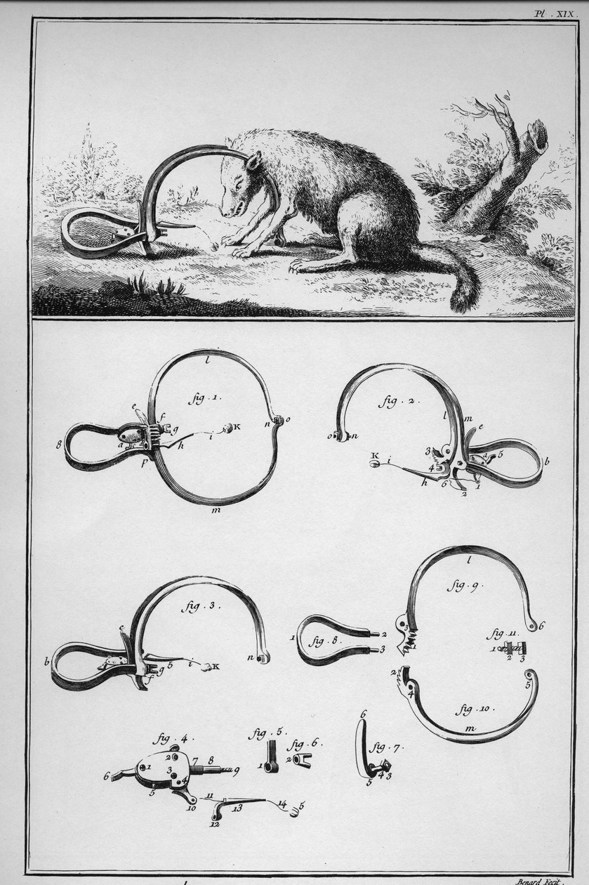Caça - raposa apanhada no Trackenard (Piege) - "The Great Encyclopedie, ou Dictionnaire Raisonne des Sciences, des Arts et des Metiers" (Enciclopédia ou Dicionário das Ciências, Artes e Profissões) por Denis Diderot (1713-1784) e Jean d