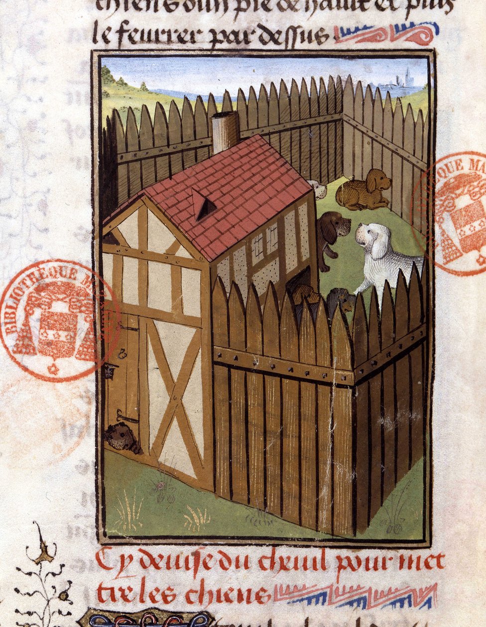 Cães de caça num canil - no "Livro de caça de Gaston Phoebus, Conde de Foix, Senhor de Bearn". de French School