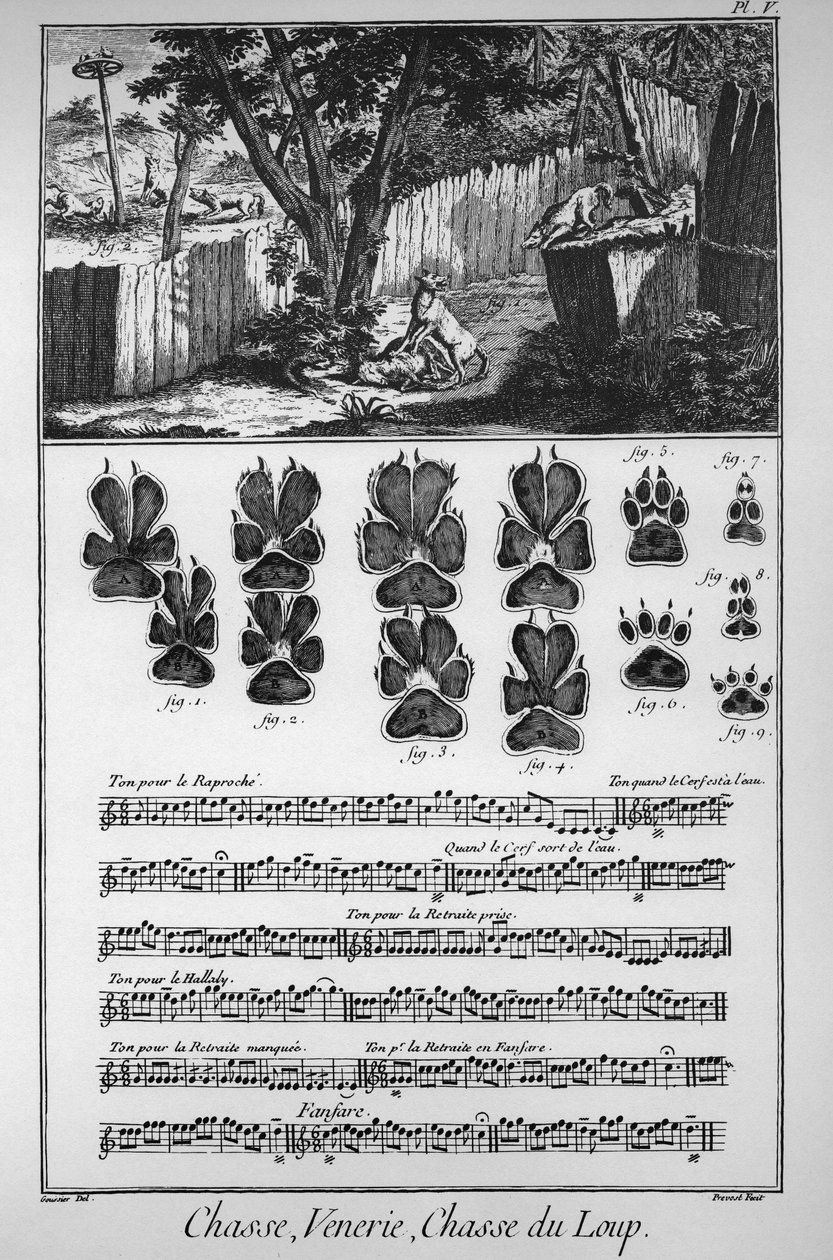 Caça ao lobo (diferentes formas ou armadilhas para pegar os lobos) - "The Great Encyclopedie, ou Dictionnaire Raisonne des Sciences, des Arts et des Metiers" (Enciclopédia ou Dicionário das Ciências, Artes e Profissões) por Denis Diderot (1713-1784) e de French School
