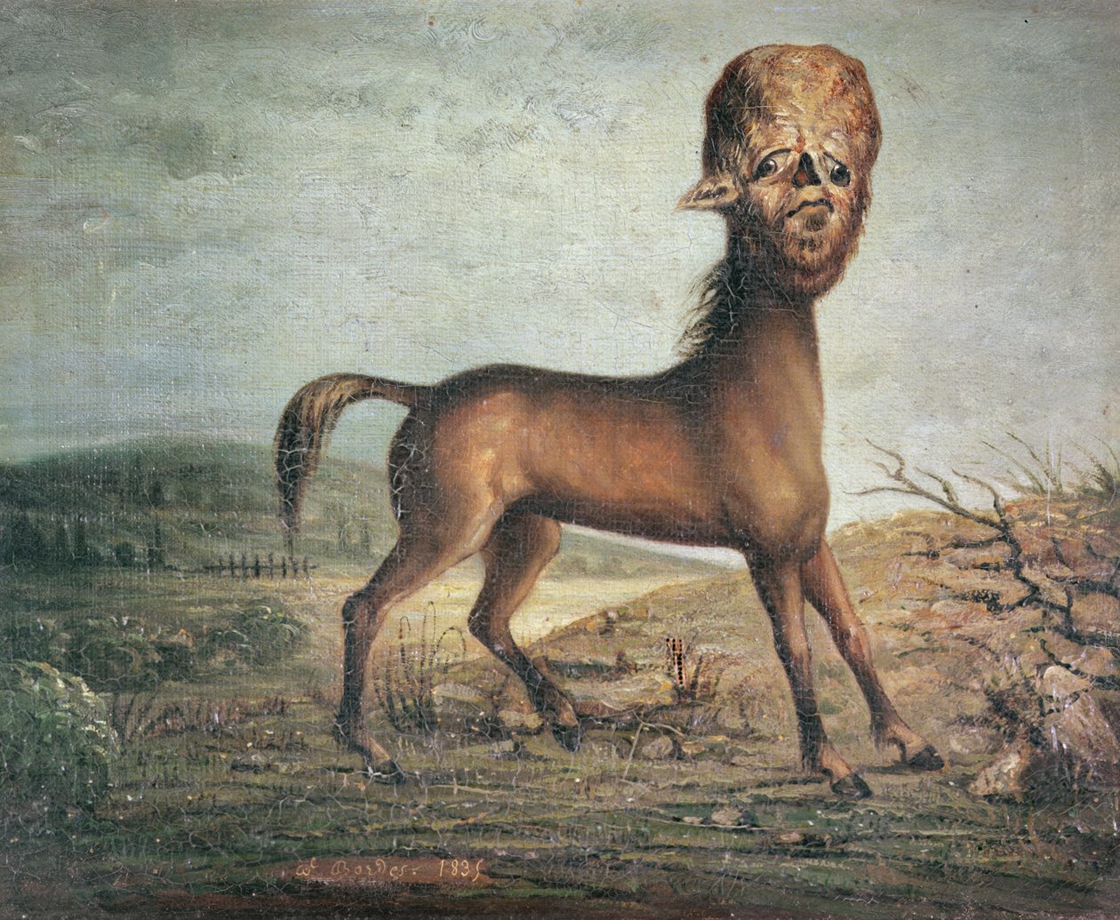 Égua hidrocéfala, nascida em 21 de janeiro de 1821, 1835 de French School