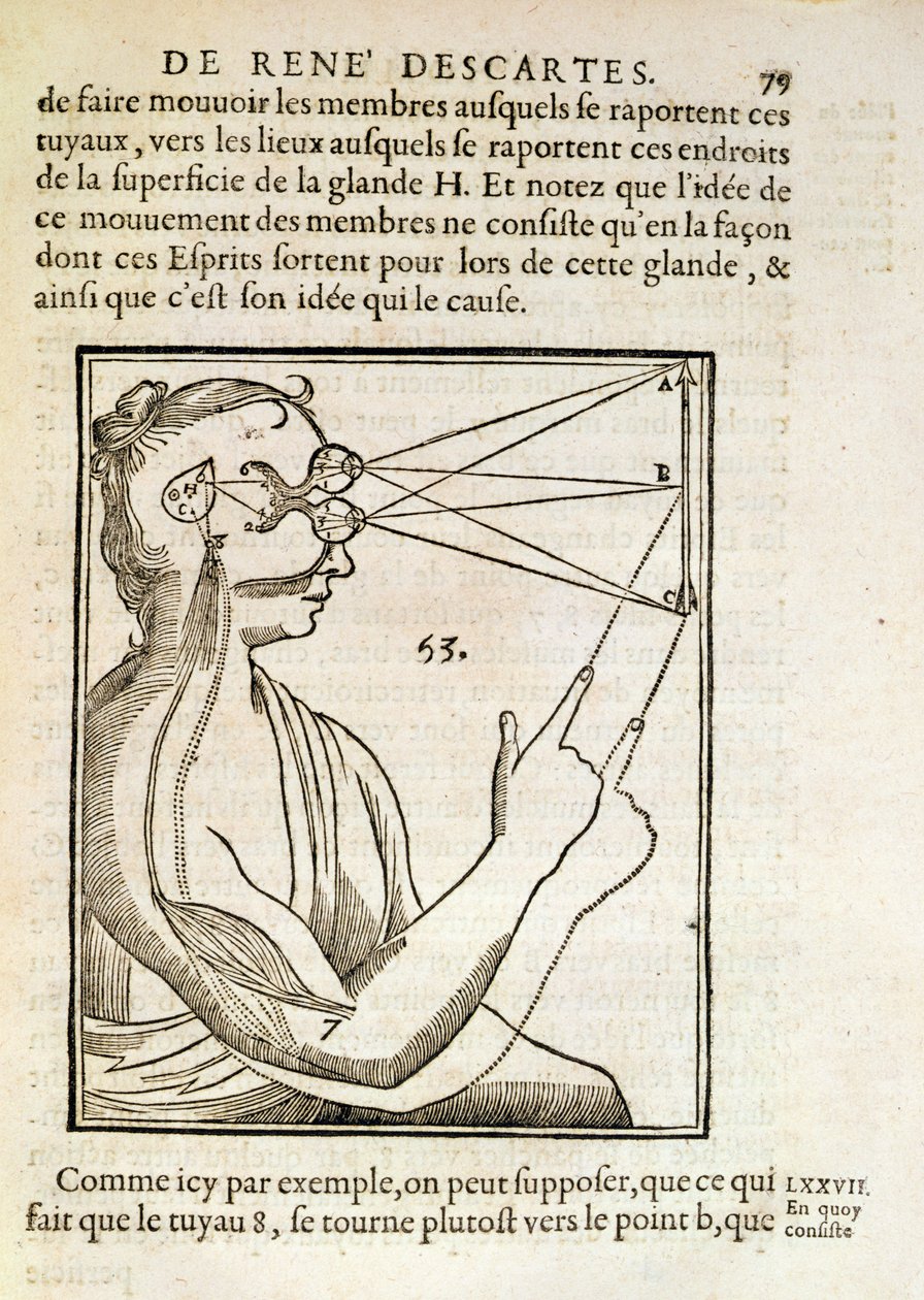Ilustração de De Homine Figuris, de René Descartes (1596-1650), publicada em Haia, 1662 de French School