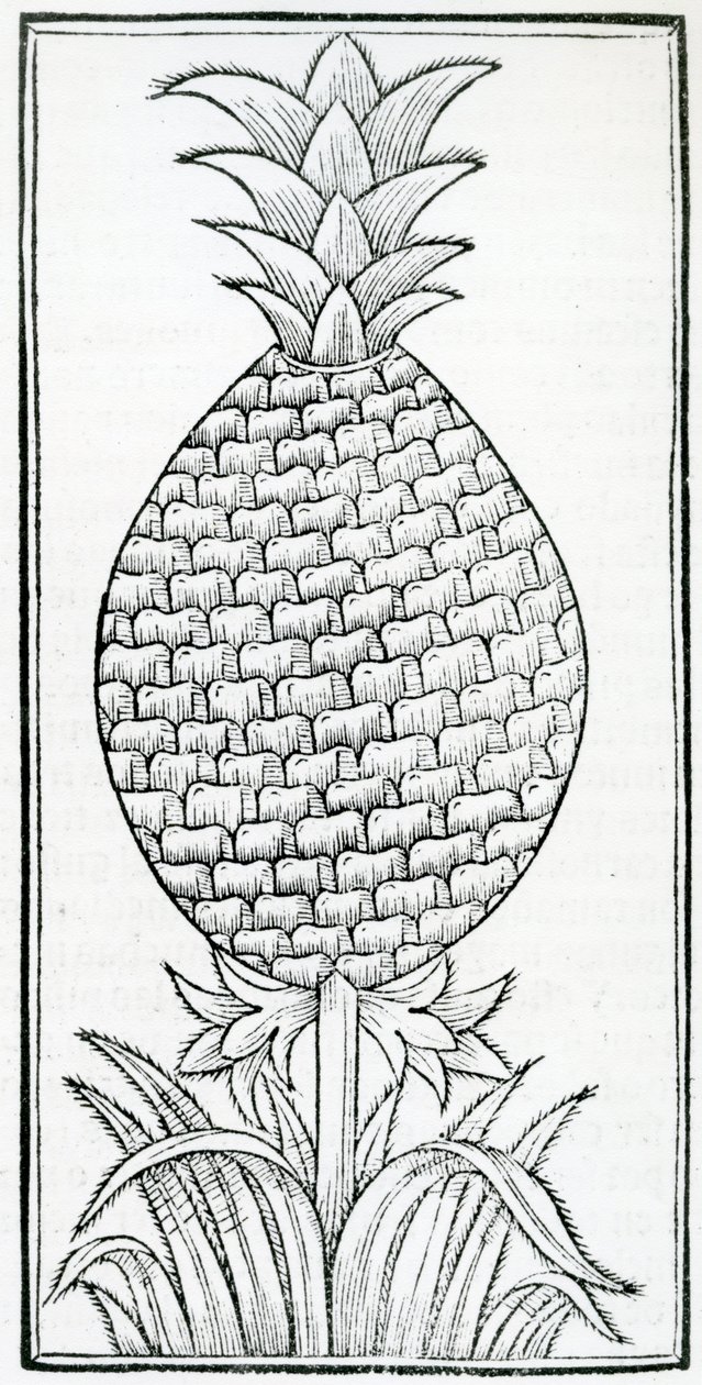 Ilustração de 
