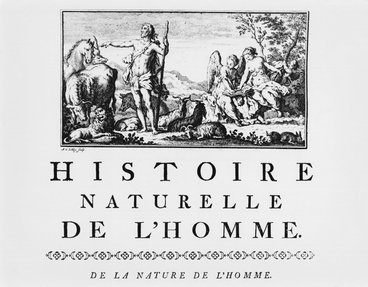 Ilustração da história natural do homem por Georges de Buffon (1707-88) publicado em 1749, Paris de French School