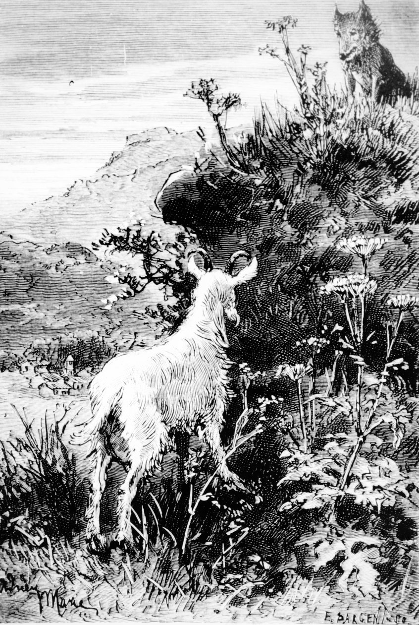 Ilustração do Sr. Seguins Goat por Alphonse Daudet de French School