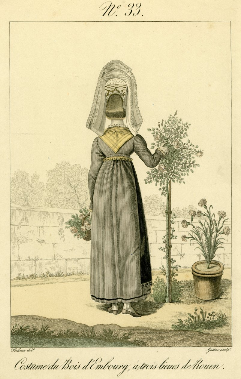 Ilustração nº 33, Traje de Bois d
