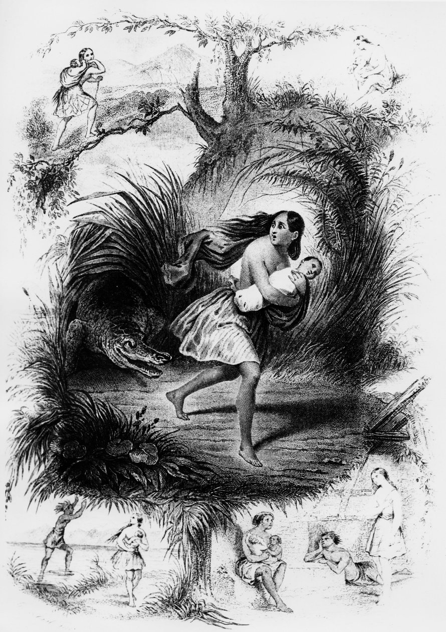 Ilustração do romance "Les Natchez" de François Rene de Chateaubriand de French School