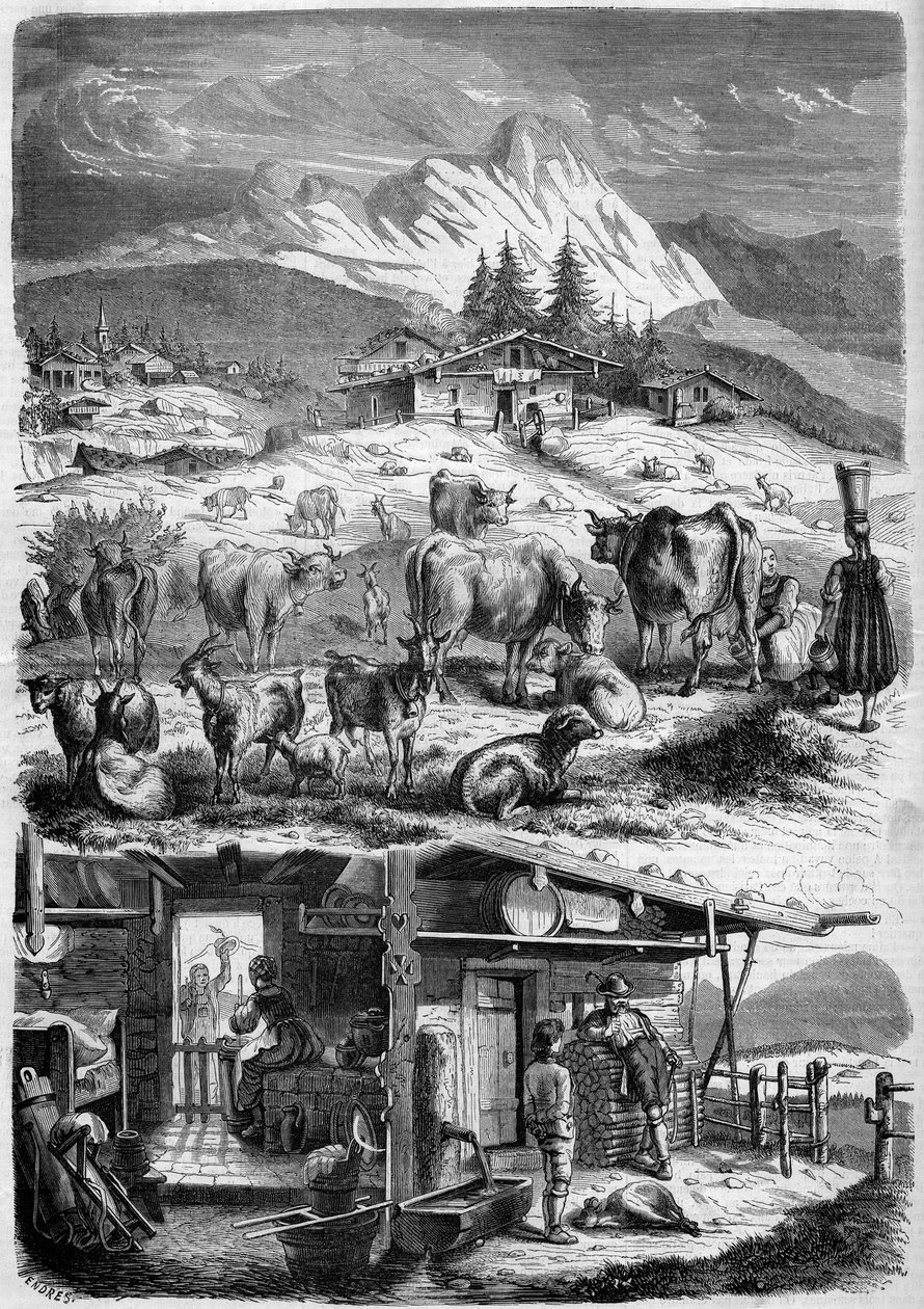 Habitantes e indústria leiteira dos Alpes de French School