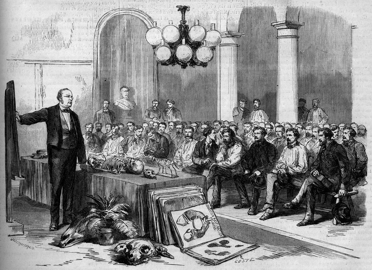 Ensino gratuito: cursos de ciências físicas e ciências naturais para adultos. Um quarto da capela em Paris. Gravura em "Le Monde Illustre" n°513 de 9 de fevereiro de 1867. de French School