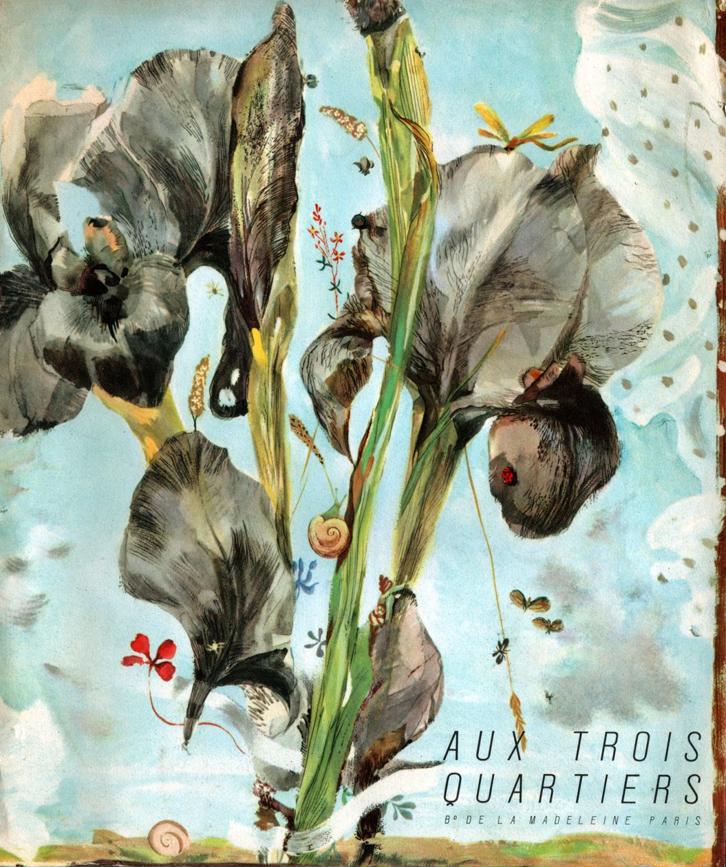 Íris (flor). (Ilustração, cerca de 1920) de French School
