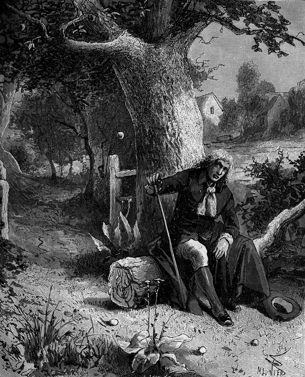 Isaac Newton (1642-1727), matemático e astrônomo inglês, descobrindo a noção da gravidade da terra através da queda de uma macieira de Woolsthorpe. de French School