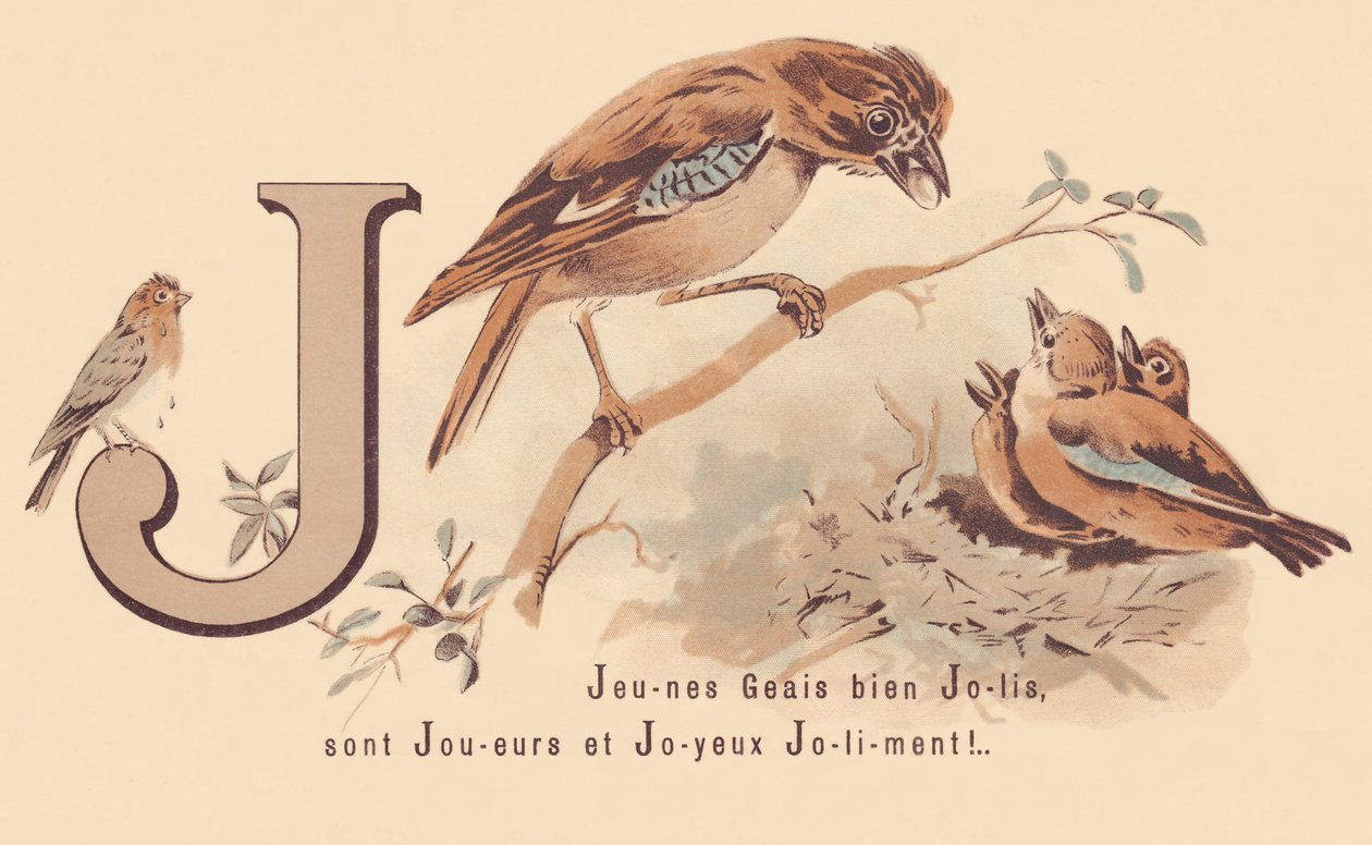J: Young Jays Pretty are Players e Happy Jolily! de French School