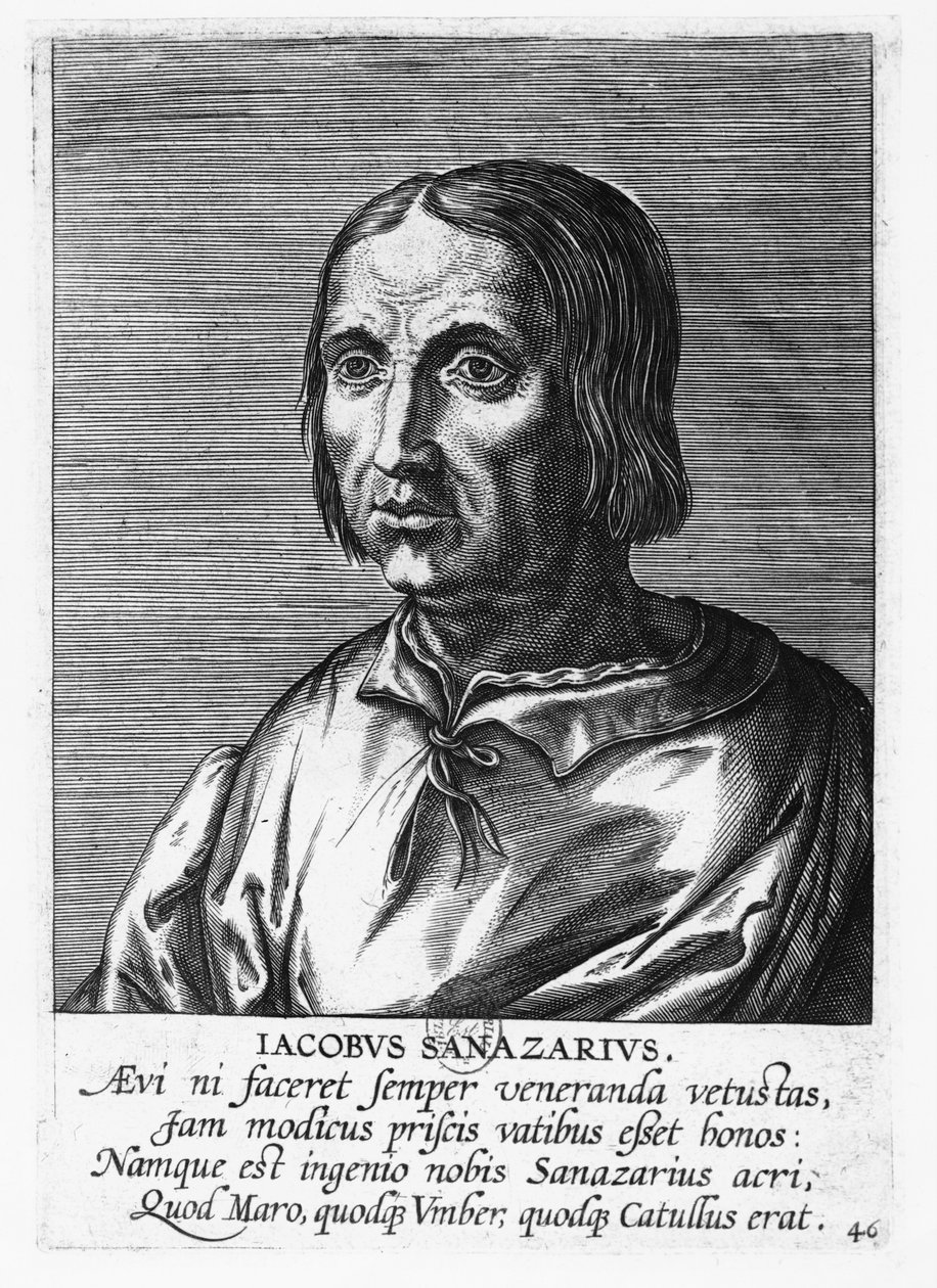 Jacopo Sannazaro (gravura) de French School