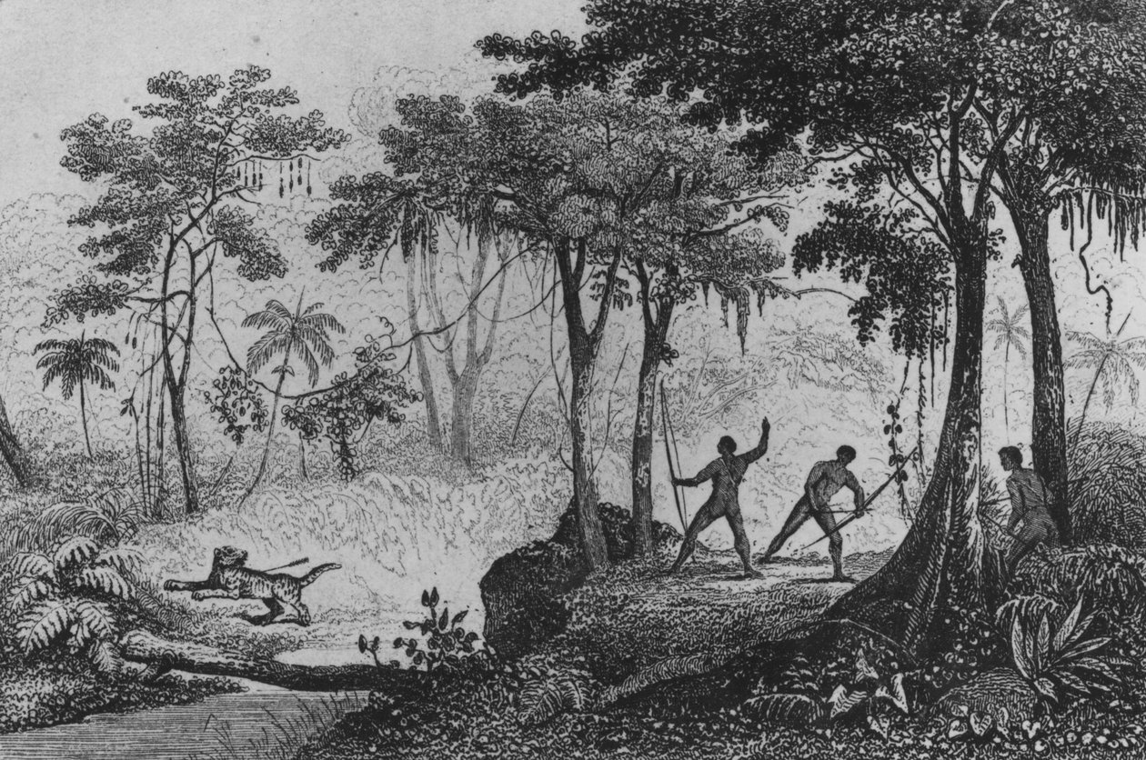 Jaguar Hunt, de &39;Bresil, Columbie et Guyanes&39; por Ferdinand Denis e Cesar Famin 1837 de French School