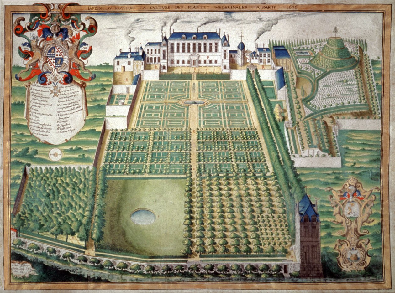 Jardin des Plantes, Paris. 1636 (aquarela) de French School