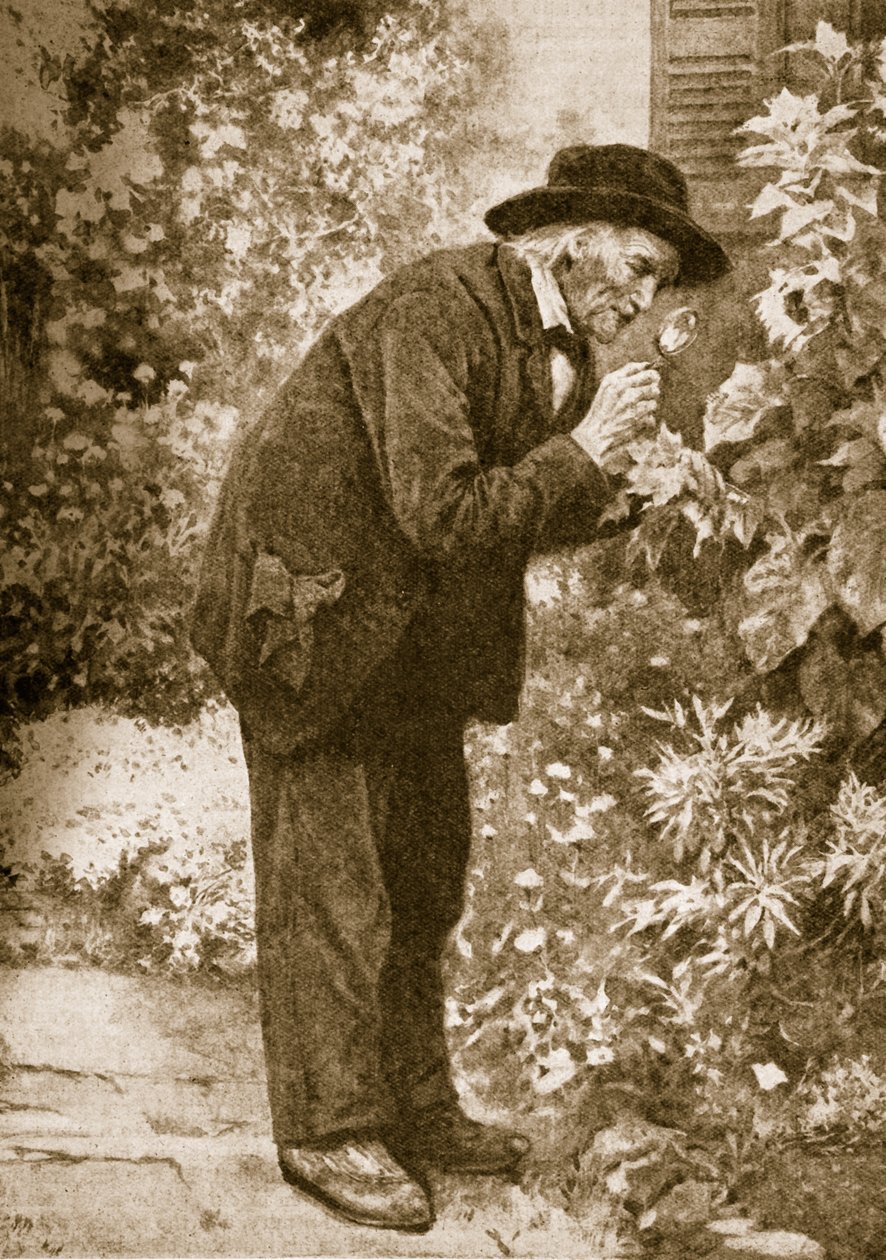 Jean-Henri Fabre observando insetos de French School