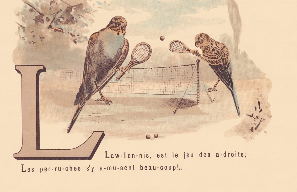 L: Lawn-Tennis, é o jogo dos espertos; Os periquitos se divertem muito! de French School
