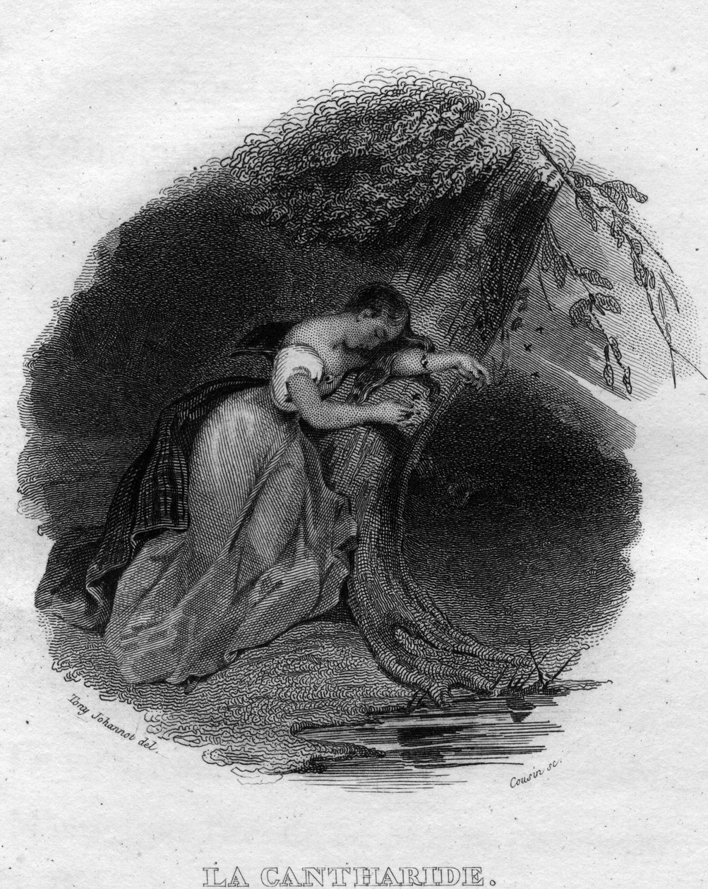 La cantharid Chanson de Beranger em "Oeuvres complete" (1834) de Pierre Jean de Beranger (1780-1857), poeta e compositor francês. de French School