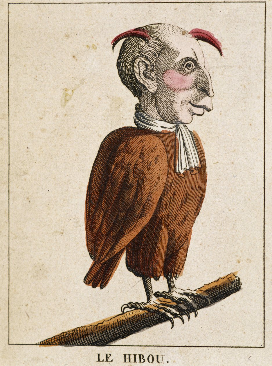 La coruja em Caricatura, estudo do carácter "volátil característico" sd. 19º, imaginário popular. de French School