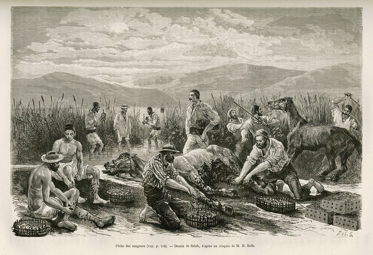 La peche des leeches, desenho de Sahib, para ilustrar a história de Henri Belle: Voyage en Greece de French School