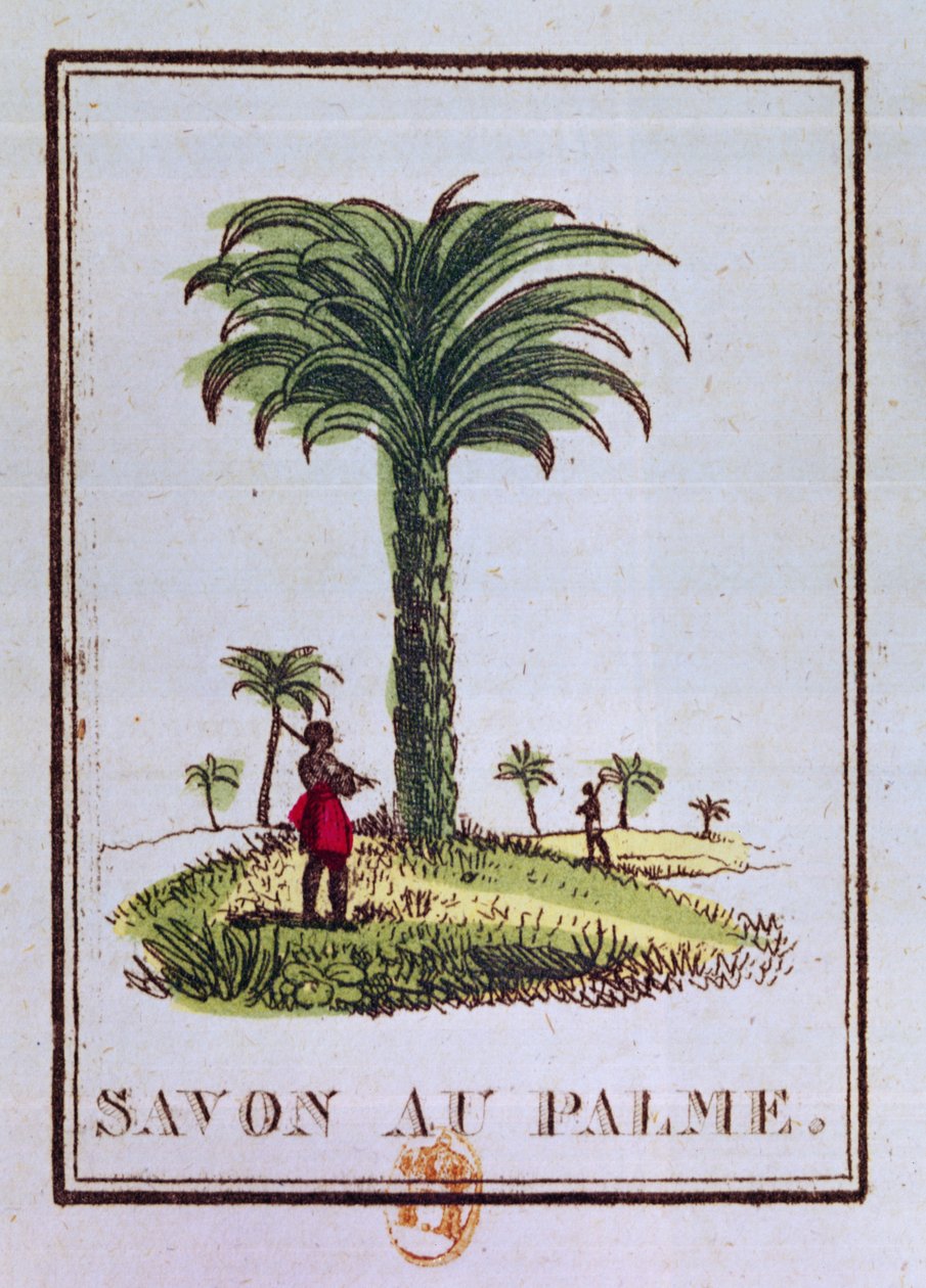 Etiqueta para um sabonete de óleo de palma, representando uma palmeira de French School