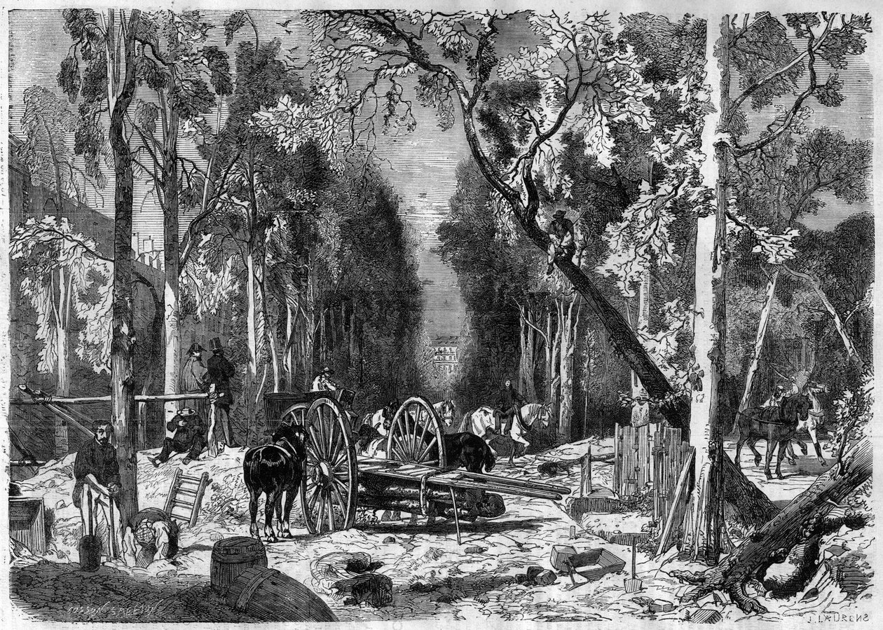 Le bucheron au jardin de Luxembourg em Paris, em 1870 - Gravura a partir de 1870 de French School