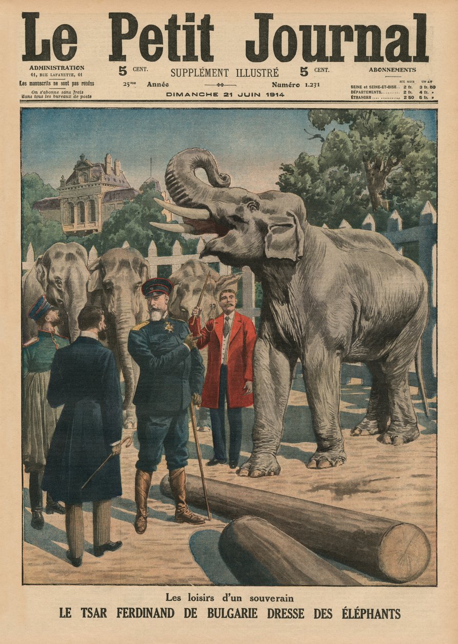 Tempo de lazer de um soberano, Tzar Ferdinand I da Bulgária domando elefantes, ilustração da capa do &39;Le Petit Journal&39;, suplemento ilustrativo, 21 de junho de 1914 de French School