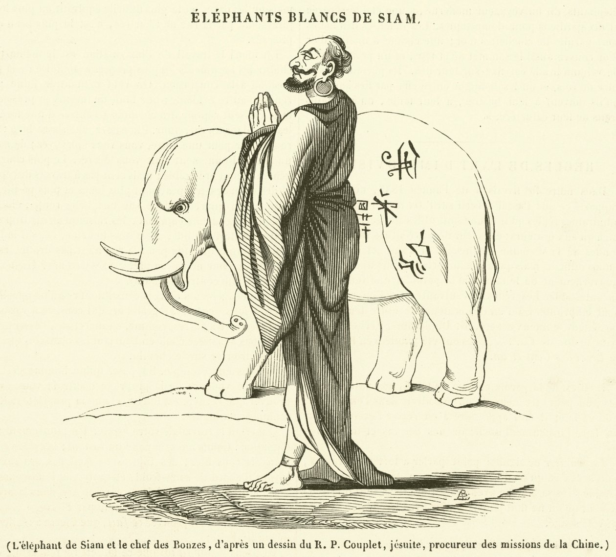 O elefante siamês e o chefe dos Bonzos (gravura) de French School