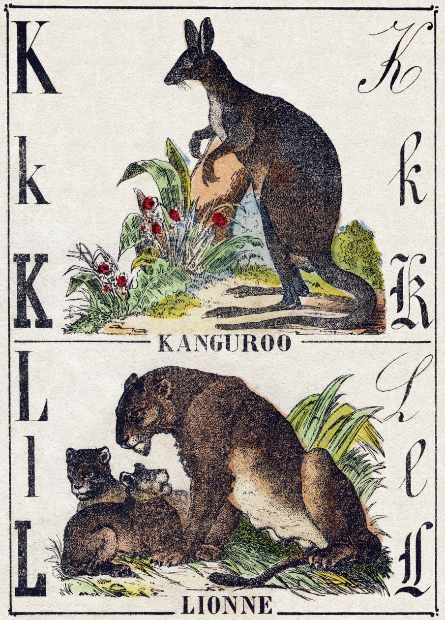 Carta K L; K Kanguroo; Lionne. Gravura em "Alfabeto dos animaux sauvages". 9ª Série. Imagery of Epinal, Pellerin, printer-publisher, circa 1870. Gravura em madeira, stencilada. 16 páginas. Dimensões: 20 x 15 cm. Coleção Particular de French School