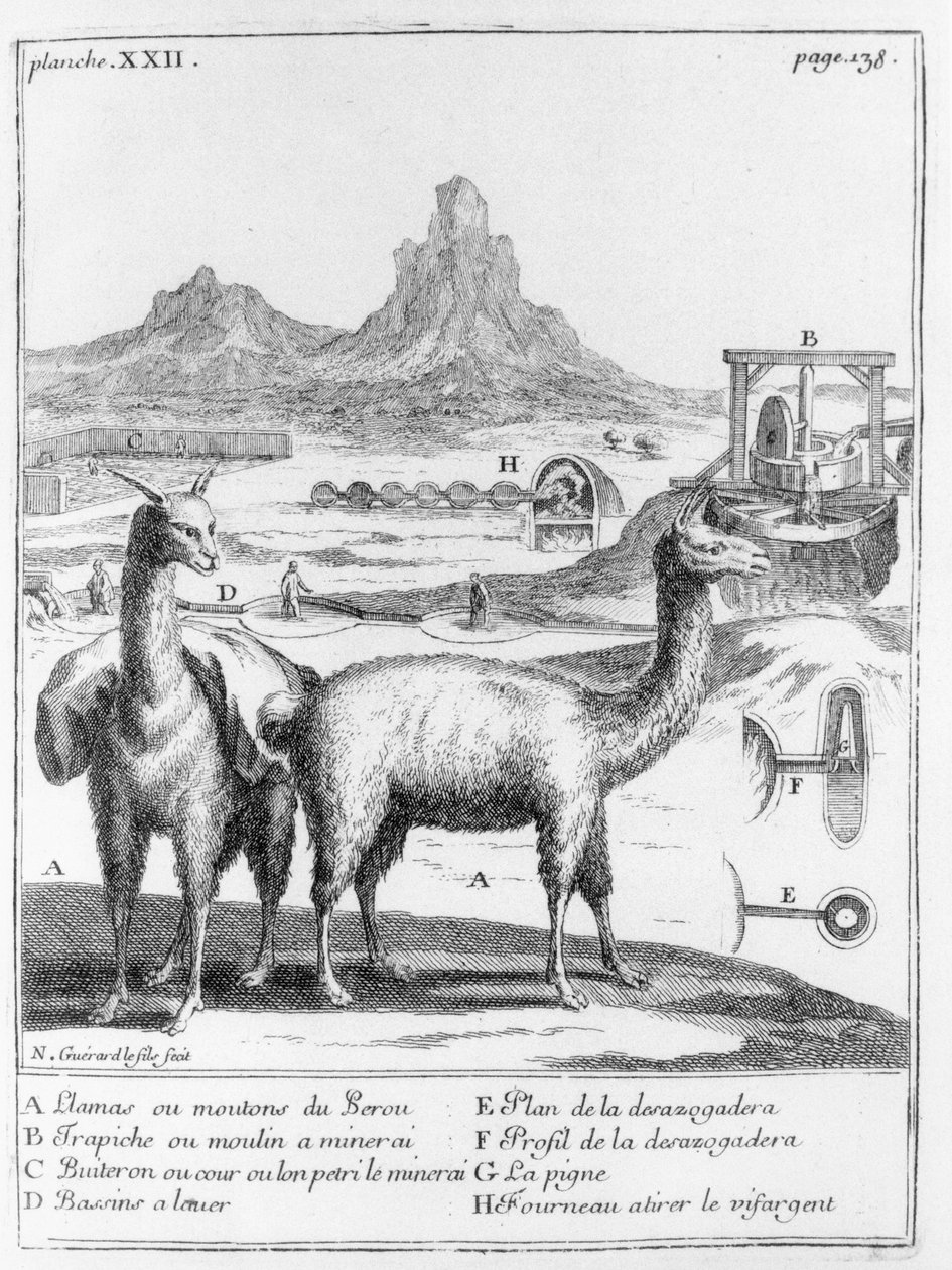 Lhamas e diagramas sobre extração mineral, da relação da viagem do mar do Sul até a costa de Chily e Peru por AF Frezier, 1716 de French School