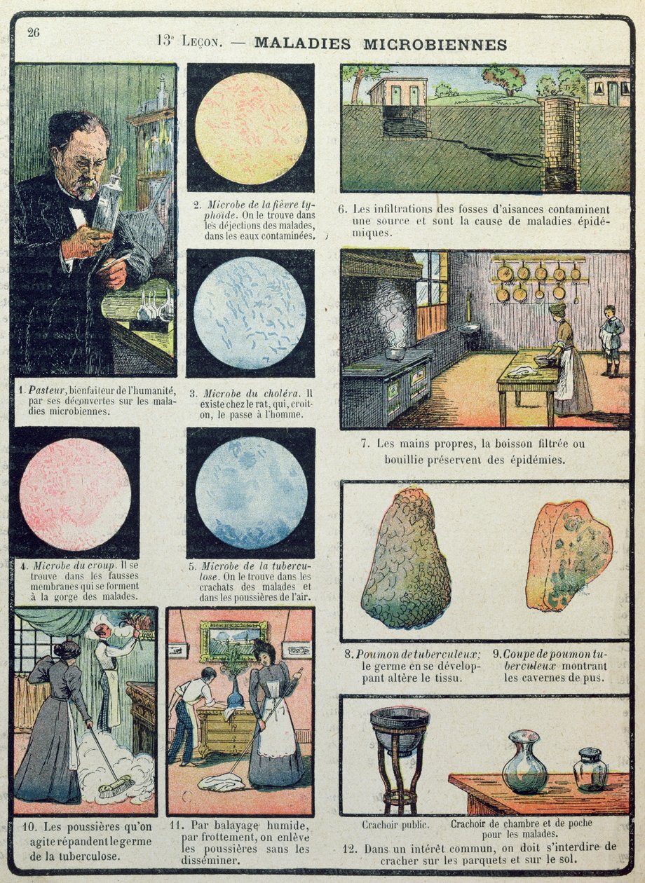 Louis Pasteur (1822-95) e Doenças Bacterianas, das Ciências Físicas e Naturais, Paris, 1908 de French School