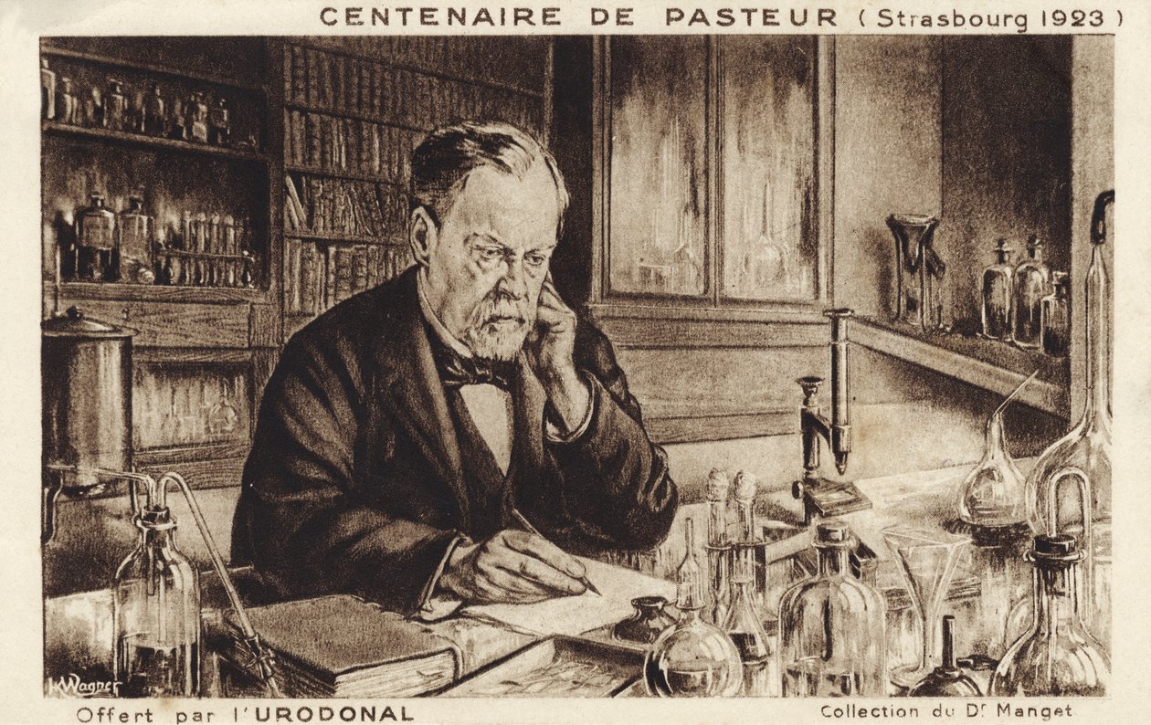 Louis Pasteur de French School