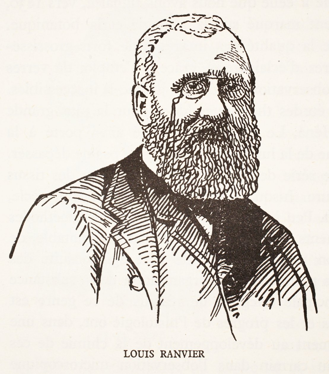 Louis Ranvier | French School | Impressão de arte